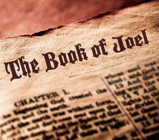 vbook of joelcommentaries book of joel